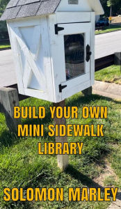 Title: Build Your Own Mini Sidewalk Library: How-To, Author: Steven Williams II