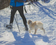 Title: Wilderness Bound: A Journey Through the Alaskan Backcountry., Author: Mary Bryant