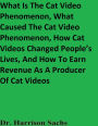 What Is The Cat Video Phenomenon, What Caused The Cat Video Phenomenon, And How Cat Videos Changed People's Lives