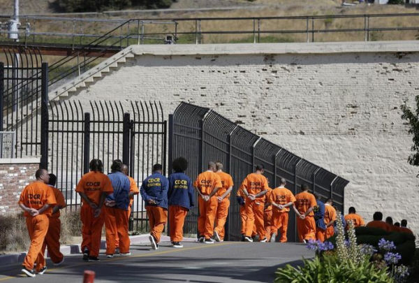 Regression Prison 2025: Alpha Primus