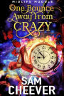 One Bounce Away from Crazy: A Rollicking Paranormal Women's Fiction Adventure