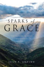 SPARKS OF GRACE: God transforms the world with His grace