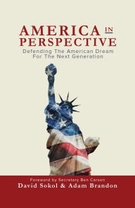 Title: America in Perspective: Defending the American Dream for the Next Generation, Author: David Sokol