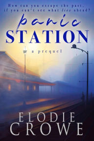Title: Panic Station: Gripping women's psychological fiction, Author: Elodie Crowe
