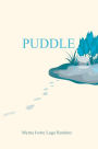 Puddle