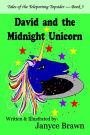 David and the Midnight Unicorn