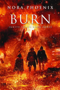 Title: Burn: A Dystopian Slow Burn Gay Romance, Author: Nora Phoenix