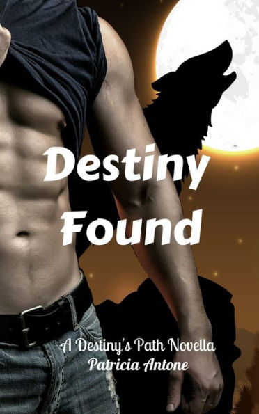 Destiny Found (A Destiny's Path Novella)
