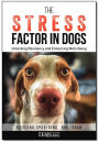 The Stress Factor in Dogs: Unlocking Resiliency and Enhancing Well-Being