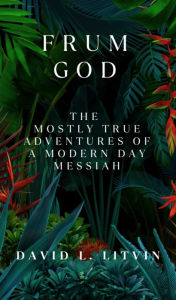 Title: Frum God:: The Mostly True Adventures of a Modern Day Messiah, Author: David Litvin