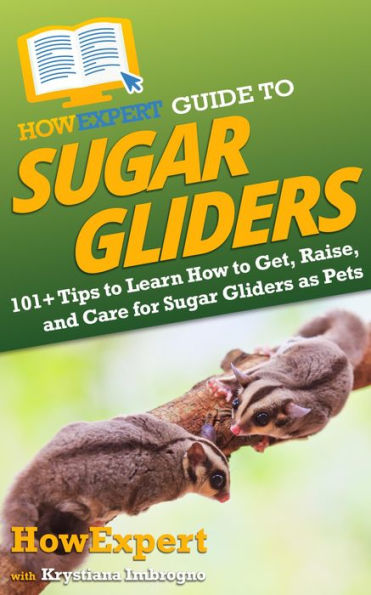 HowExpert Guide to Sugar Gliders: 101+ Tips to Learn How to Get, Raise, and Care for Sugar Gliders as Pets