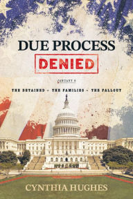 Title: Due Process Denied: The Detained - The Families - The Fallout, Author: Cynthia Hughes