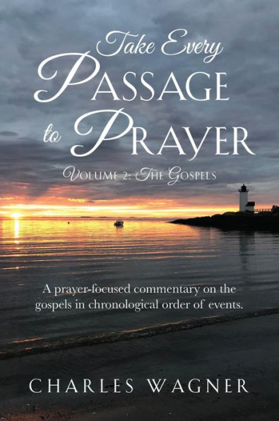 Take Every Passage to Prayer, Volume 2, The Gospels