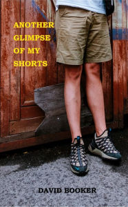 Title: ANOTHER GLIMPSE OF MY SHORTS, Author: David Booker