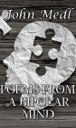 Poems from a Bipolar Mind: A Collection of Journal Entries Related to Mental Illness and Bipolar Disorder