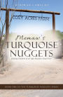 MEMAW'S TURQUOISE NUGGETS: Helping Children of all Ages Manifest Good Fruit