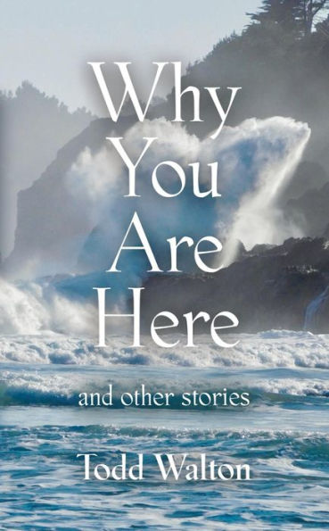 Why You Are Here: and other stories