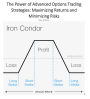 The Power of Advanced Options Trading Strategies: Maximizing Returns and Minimizing Risks