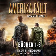 Amerika fällt: Sammelband Bücher 1-6