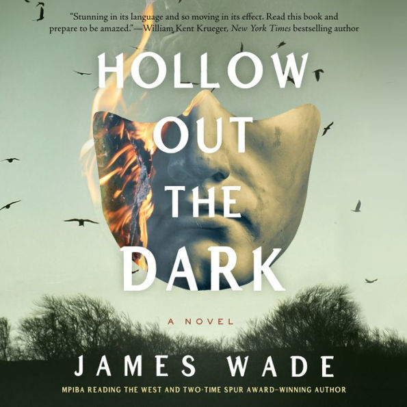 Hollow Out the Dark: A Novel