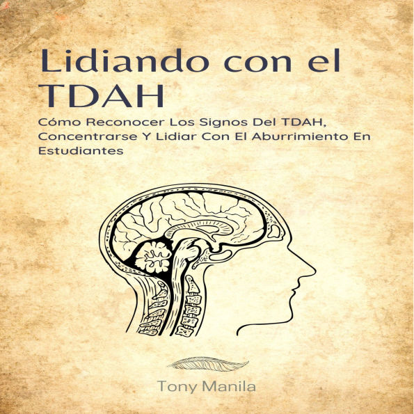 Lidiando Con El TDAH: Cómo Reconocer Los Signos Del TDAH, Concentrarse Y Lidiar Con El Aburrimiento En Estudiantes