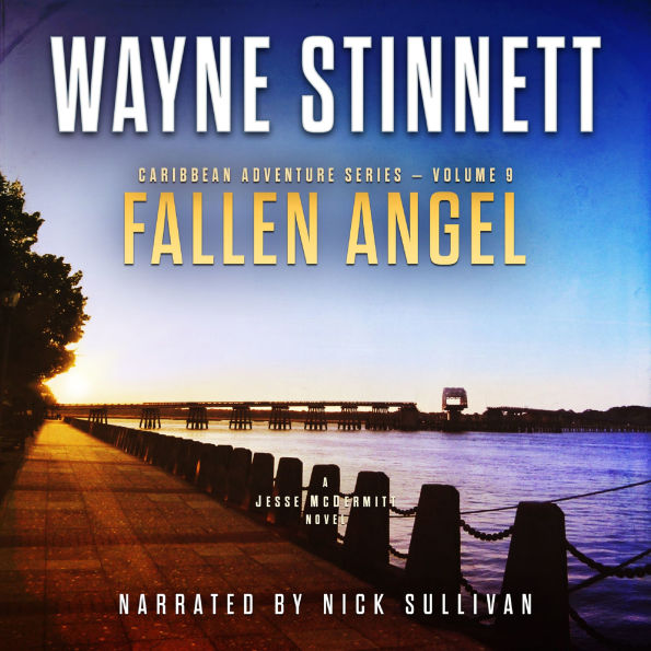 Fallen Angel: A Jesse McDermitt Novel