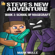 Steve's New Adventure Book 3: School of Magecraft (Changing Horizon)