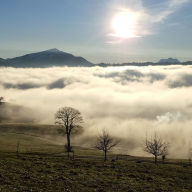 Sonnengesänge: Sonnenhymnen von Echnaton und von Franz von Assisi