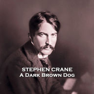 A Dark Brown Dog: A poignant tale exploring abuse