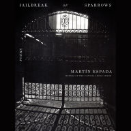 Jailbreak of Sparrows: Poems