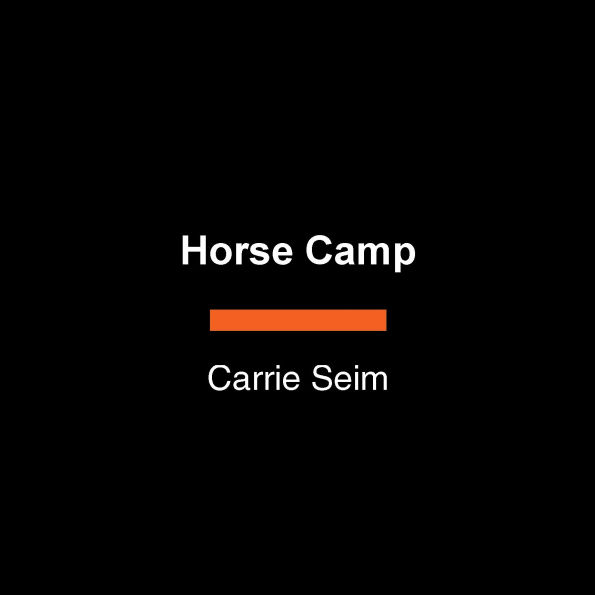 Horse Camp: A Horse Girl Mystery