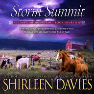 Storm Summit: Second Chance Romance