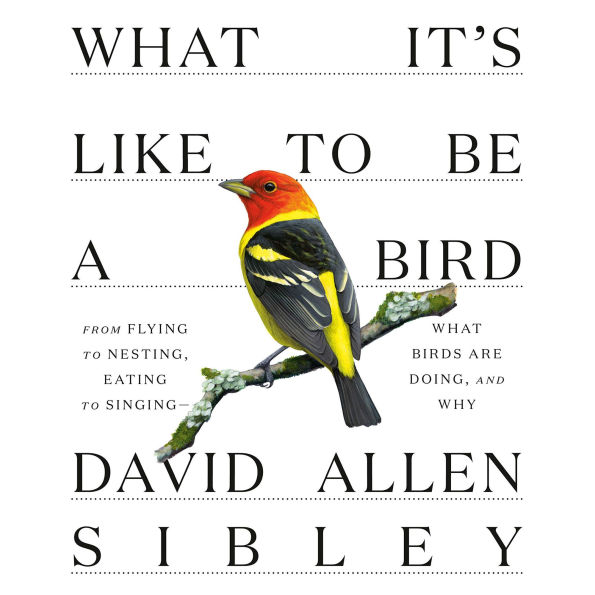 What It's Like to Be a Bird: From Flying to Nesting, Eating to Singing--What Birds Are Doing, and Why