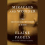 Miracles and Wonder: The Historical Mystery of Jesus