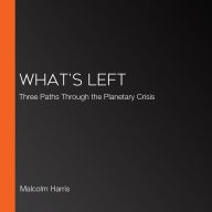 What's Left: Three Paths Through the Planetary Crisis