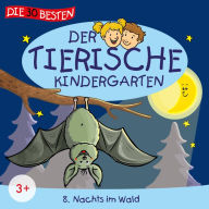 Folge 8: Nachts im Wald