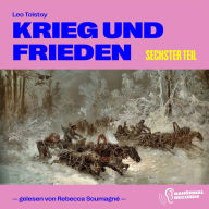 Krieg und Frieden (Sechster Teil)