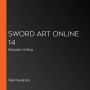 Sword Art Online 14: Alicization Uniting