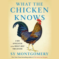 What the Chicken Knows: A New Appreciation of the World's Most Familiar Bird