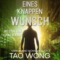 Eines Knappen Wunsch: Eine LitRPG Urban Fantasie