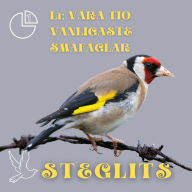 Steglits: Våra tio vanligaste småfåglar