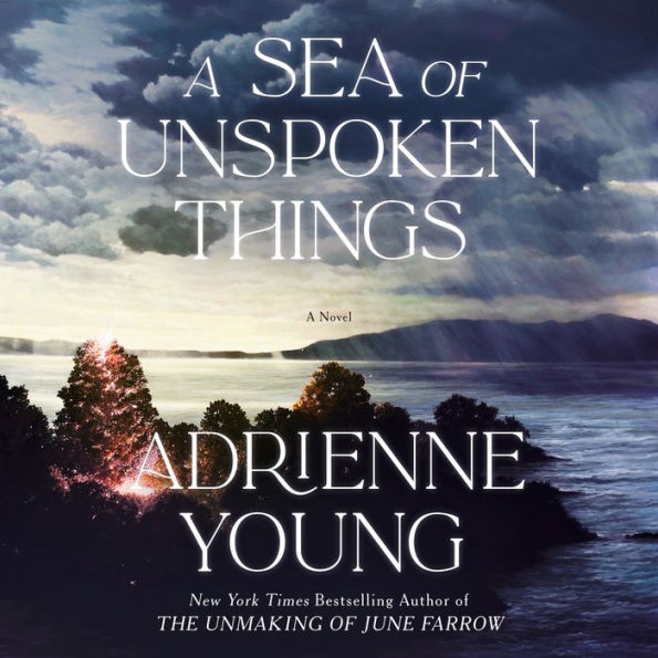 A Sea of Unspoken Things: A Novel