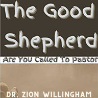 The Good Shepherd: Are you a Pastor?