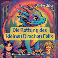 Die Rettung des kleinen Drachen Felix (Abridged)