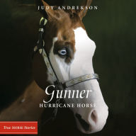 Gunner: Hurricane Horse