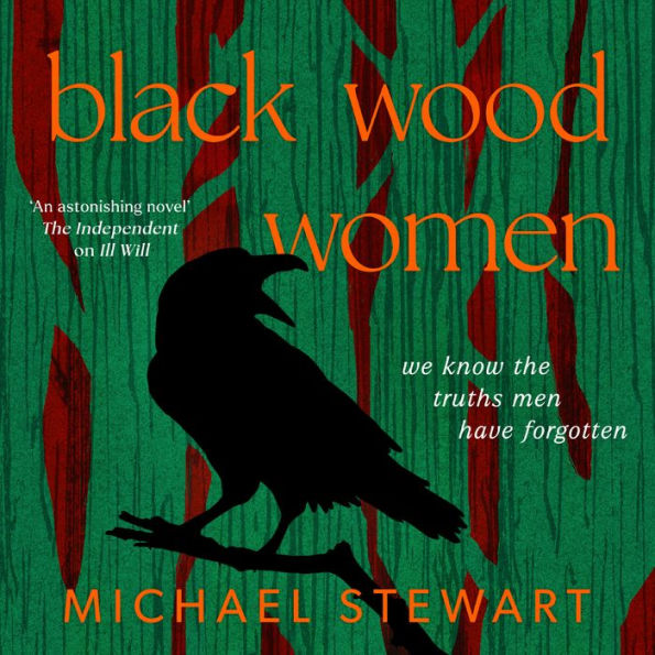 Black Wood Women: A spellbinding historical tale of persecution, resilience and hope, brand-new for 2024