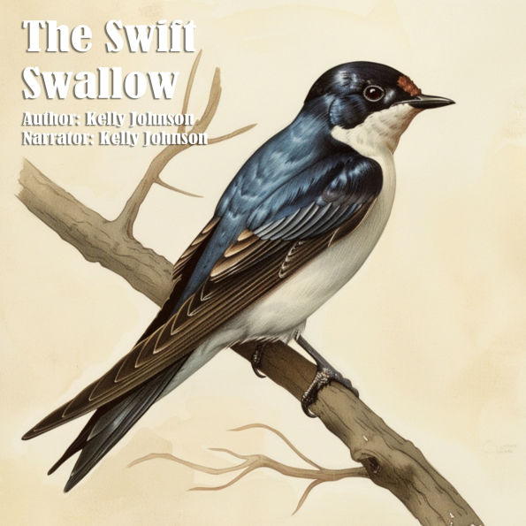 The Swift Swallow