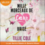 Mille morceaux de coeur brisé