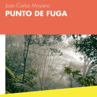 Punto de fuga