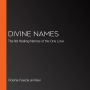 Divine Names: The 99 Healing Names of the One Love